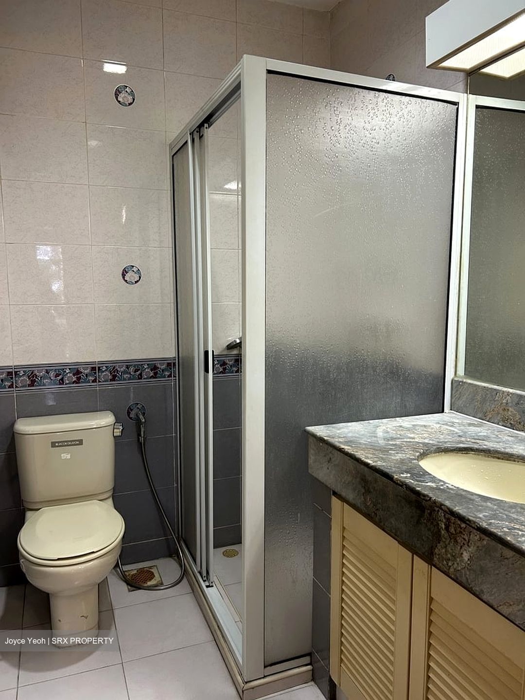 Banyan Condominium (D5), Condominium #578654901
